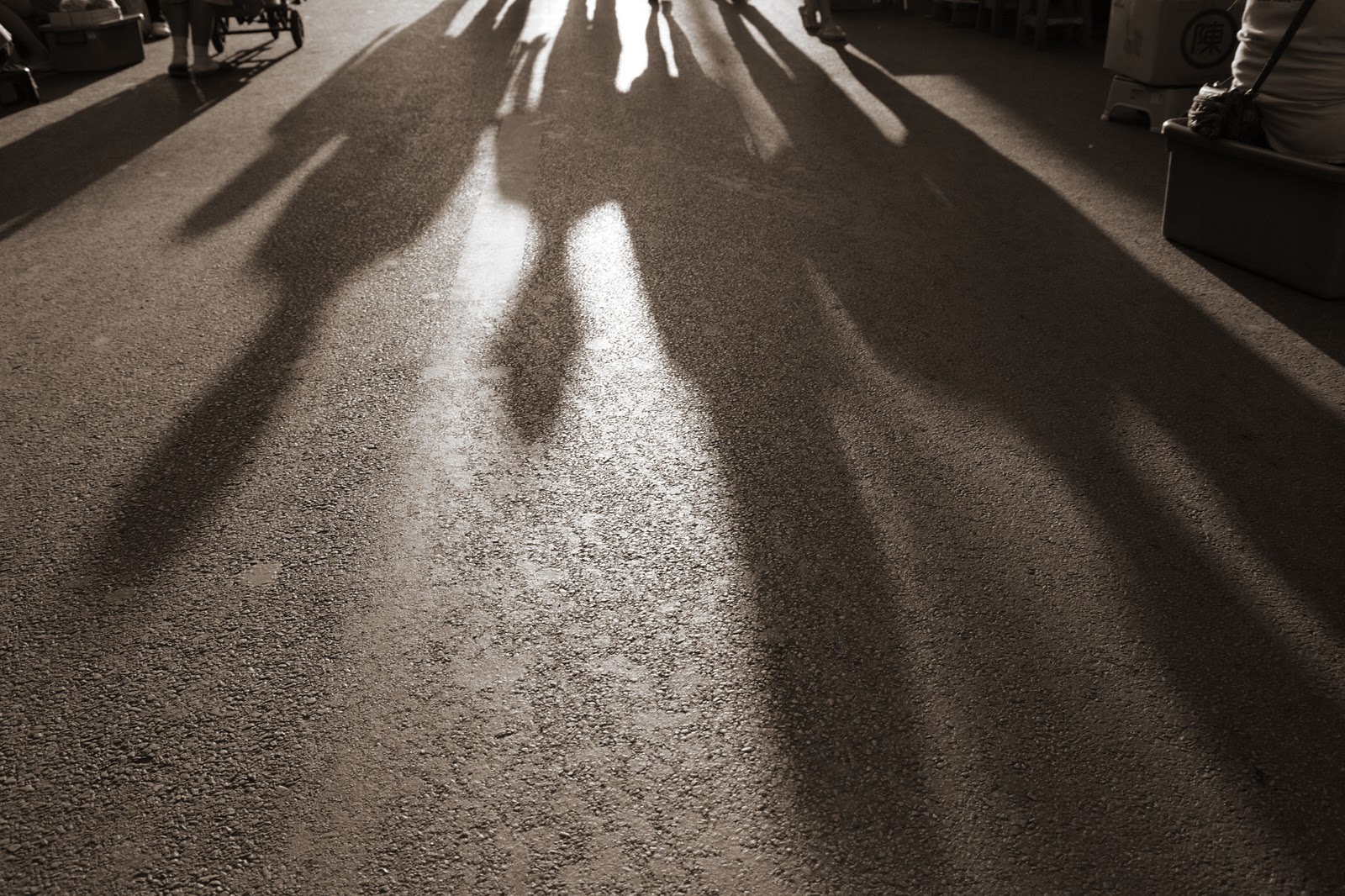 FRIENDLY SHADOWS